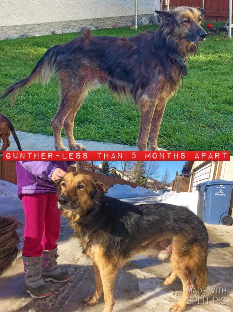 gunther before and after photo