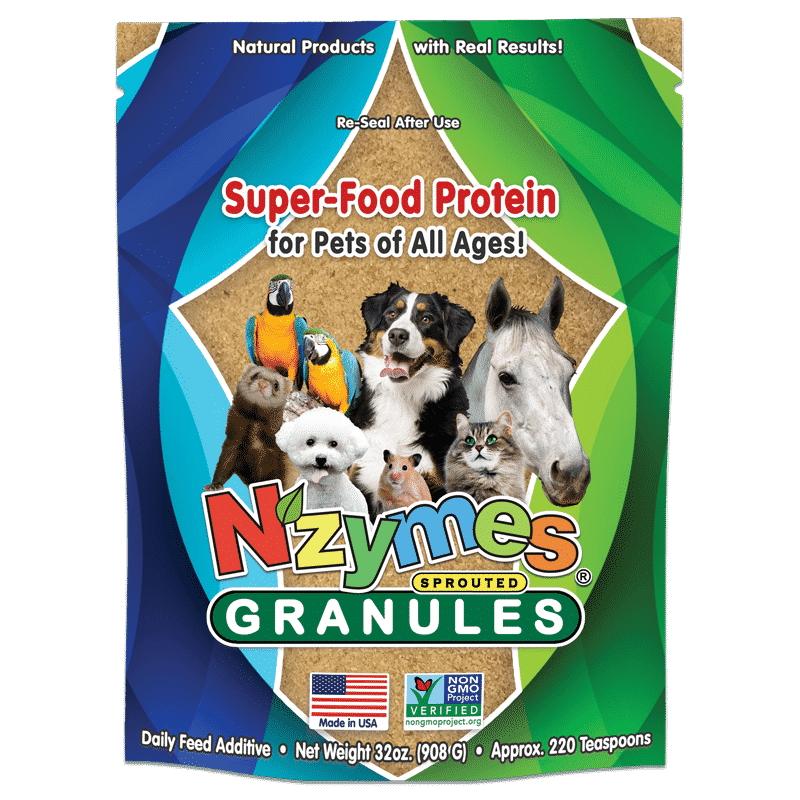 Allergies Autoimmune Disorders Brendascorner nzymes